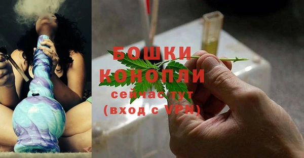 спайс Няндома