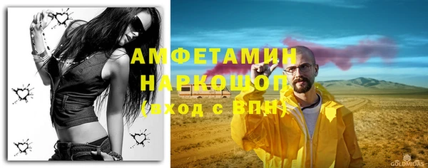 ПСИЛОЦИБИНОВЫЕ ГРИБЫ Новозыбков