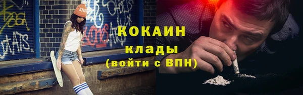 ПСИЛОЦИБИНОВЫЕ ГРИБЫ Новозыбков
