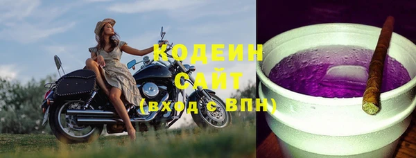 спайс Няндома