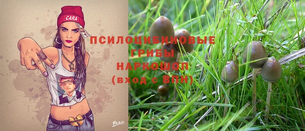каннабис Новокубанск