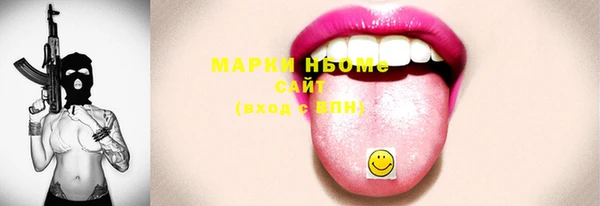 ПСИЛОЦИБИНОВЫЕ ГРИБЫ Новозыбков
