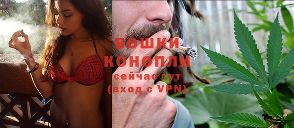 ПСИЛОЦИБИНОВЫЕ ГРИБЫ Новозыбков