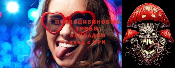 соль ск Нязепетровск