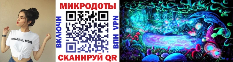 закладки  Калининград  hydra   Псилоцибиновые грибы Cubensis 